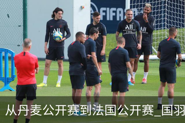 从丹麦公开赛到法国公开赛 国羽仍然只有混双摘金