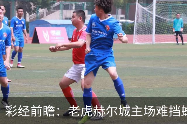 彩经前瞻：老虎赫尔城主场难挡蜂群，看好小蜜蜂带走三分