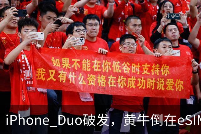 iPhone Duo破发，黄牛倒在eSIM